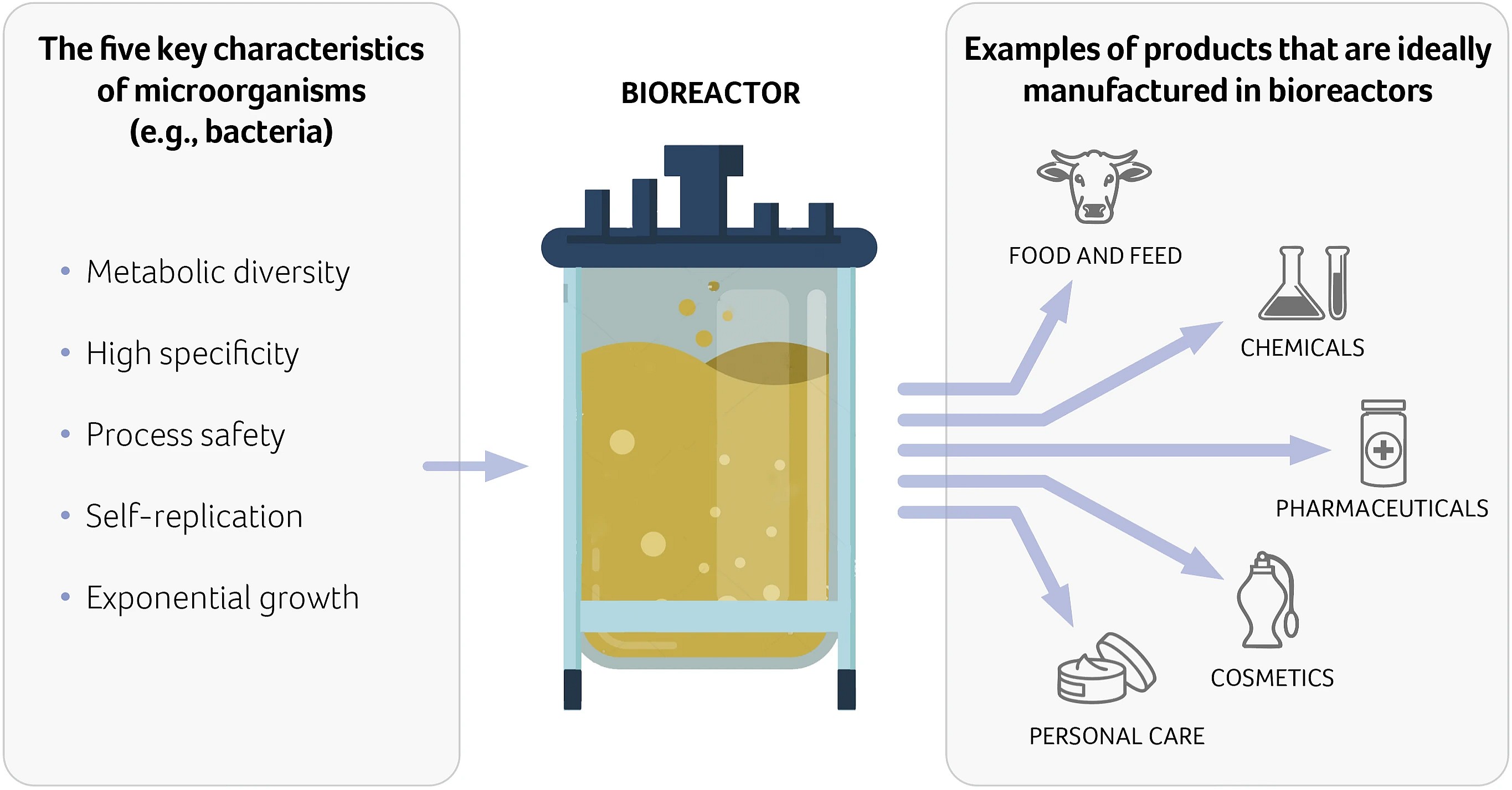 Figure 1: Biotechnology harnesses the versatility, precision, and efficiency of biological systems. Microorganisms in bioreactors enable production across food and feed, chemicals, pharmaceuticals, and cosmetics & personal care.