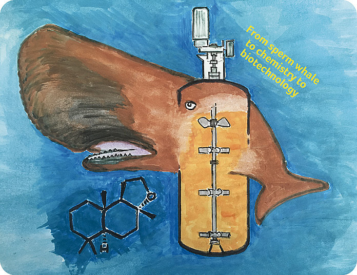 From sperm whale to chemistry to biotechnology
