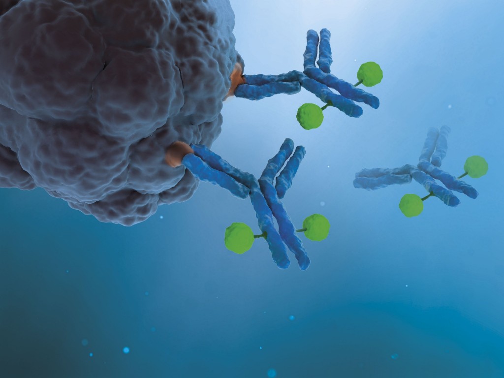 Listing cover image